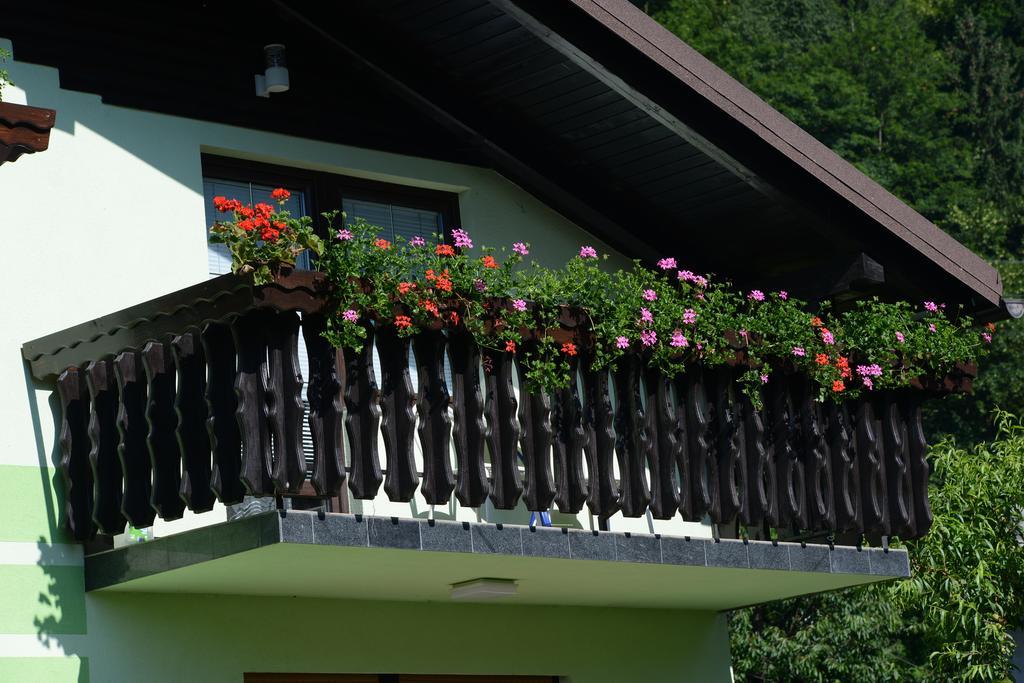 Zeleni Apartma Zreče Exteriör bild